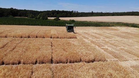Le nouveau matériel d’expérimentation permettra de conduire 5 000 microparcelles.